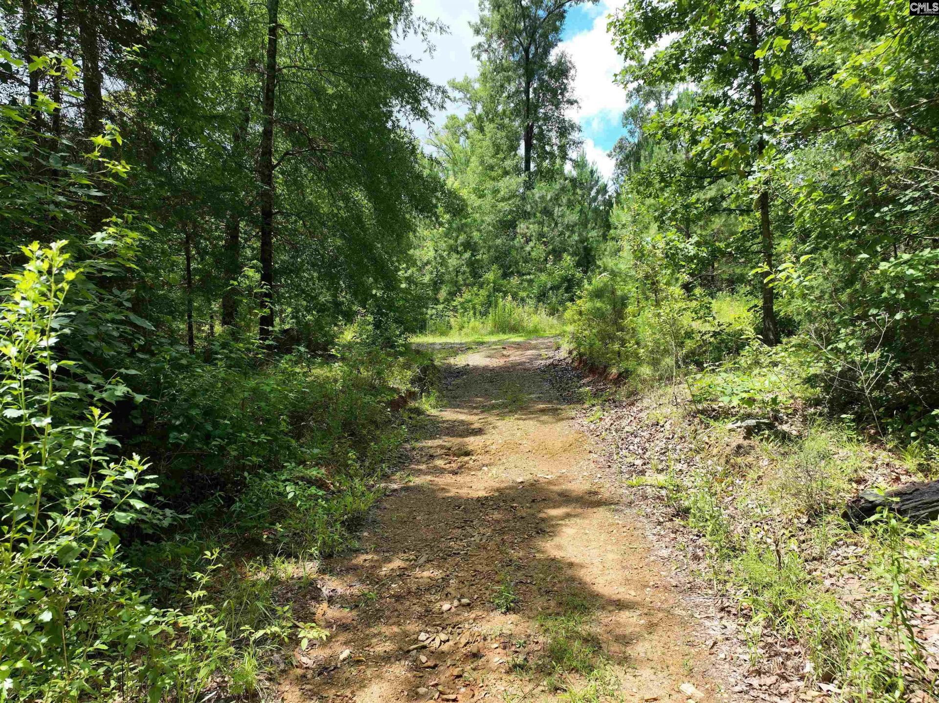 0 Rocky Branch Road  Photo 6