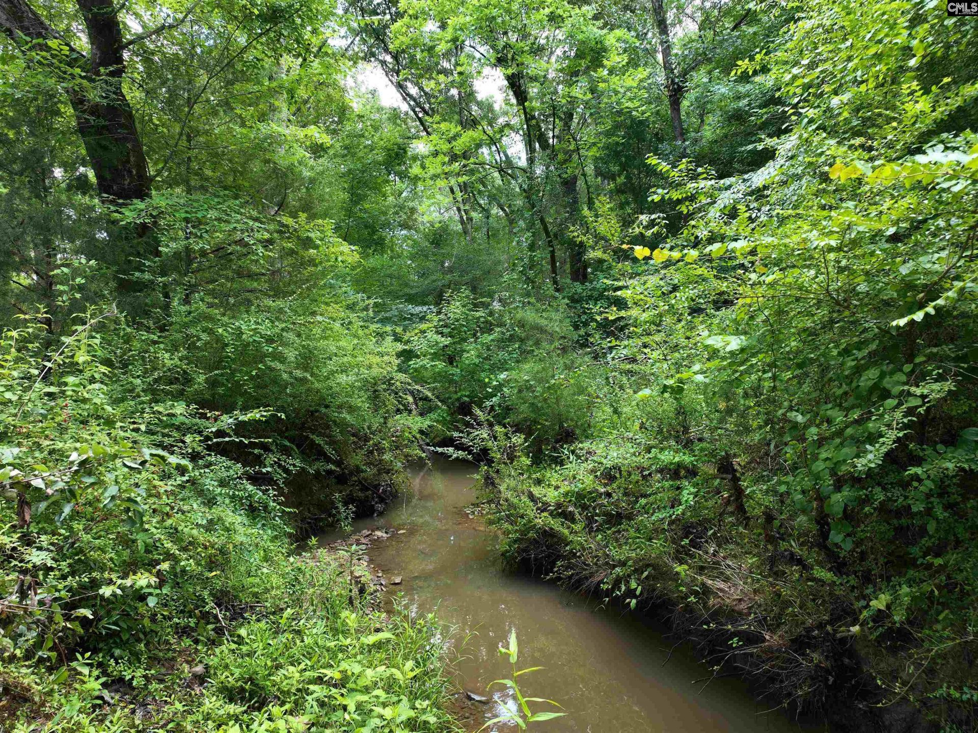 0 Rocky Branch Road  Photo 7