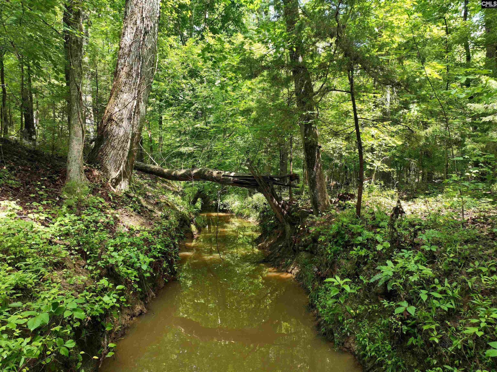 0 Rocky Branch Road  Photo 8