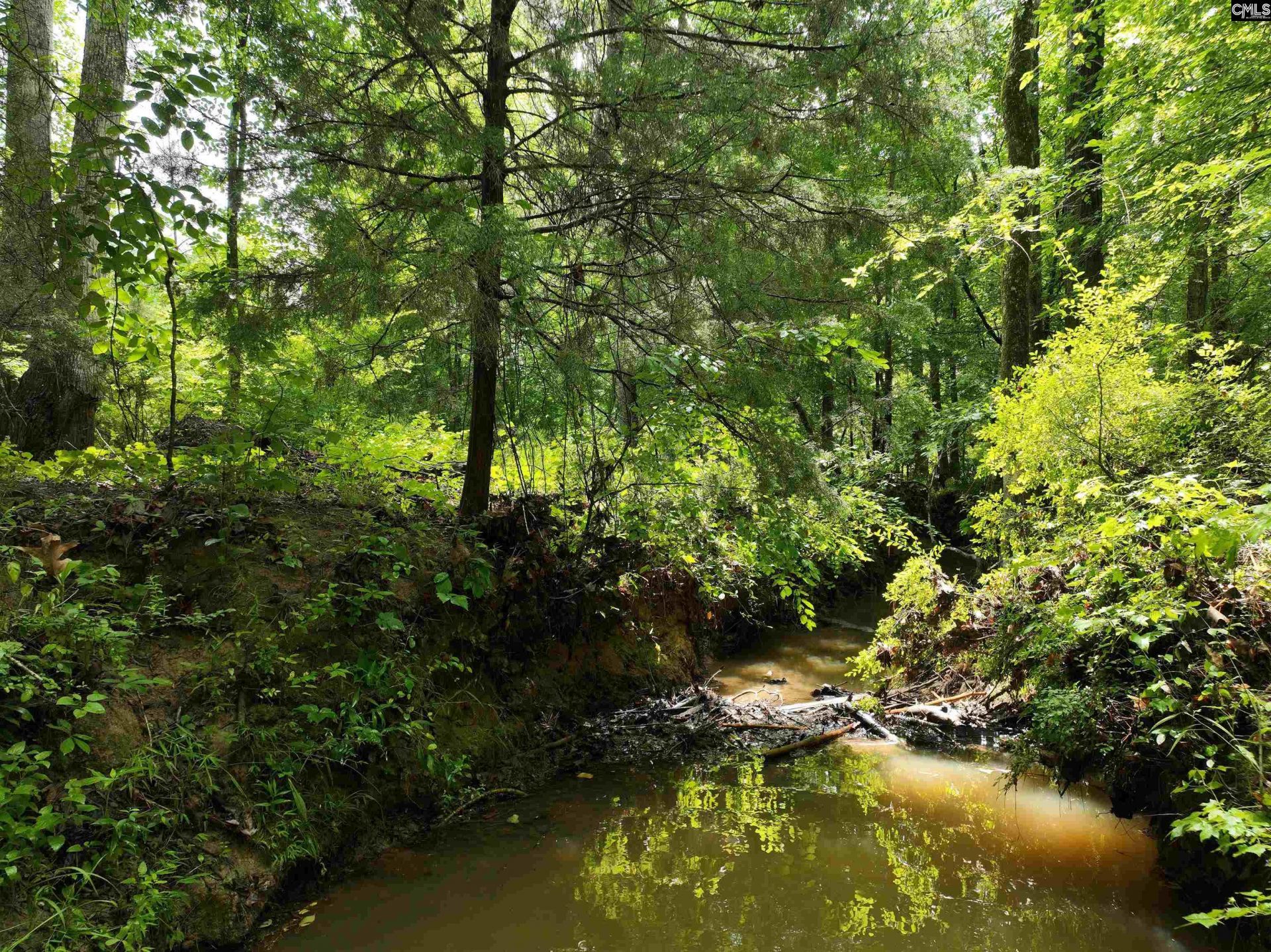 0 Rocky Branch Road  Photo 9