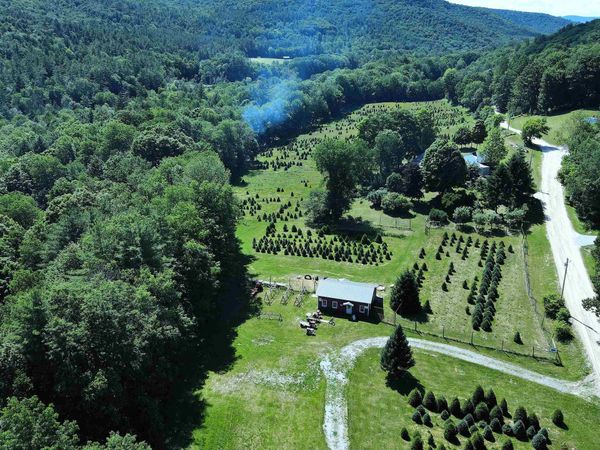 97 Stewart Lane, Shrewsbury, VT 05738