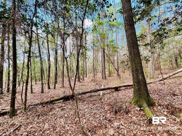 002 Phillipsville Road, Bay Minette, AL 36507