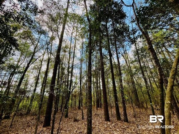 002 Phillipsville Road, Bay Minette, AL 36507