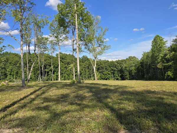 80+/- AC Red Hill Rd, Sunbright, TN 37872