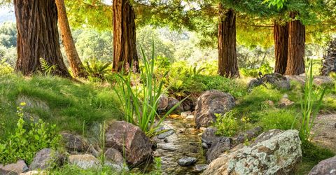 5670 China Hill Rd, El Dorado, CA 95623 Photo