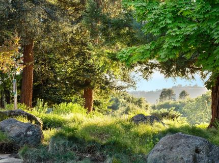 5670 China Hill Rd, El Dorado, CA 95623 Photo