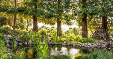 5670 China Hill Rd, El Dorado, CA 95623 Photo