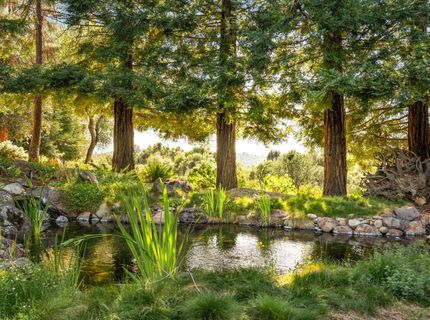 5670 China Hill Rd, El Dorado, CA 95623 Photo