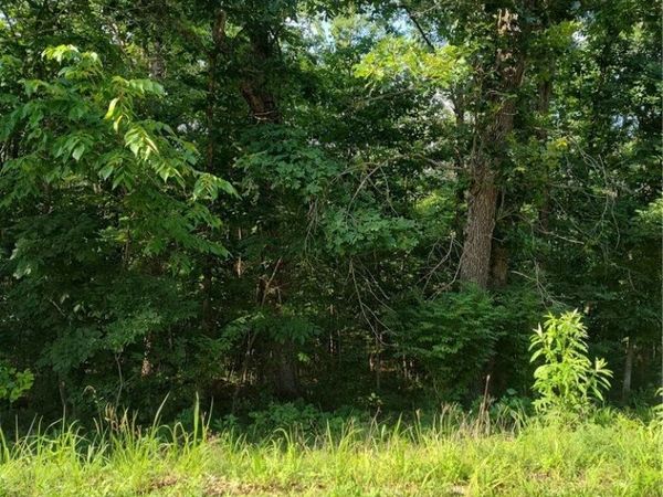 Allington Drive , Bella Vista, AR 72715
