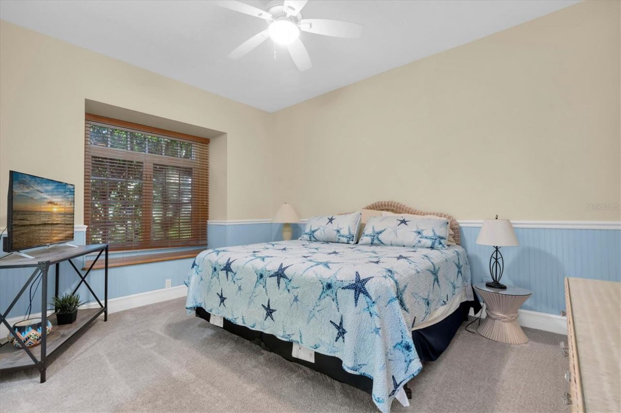 5617 Palmetto Road, New Port Richey, FL 34652 Photo