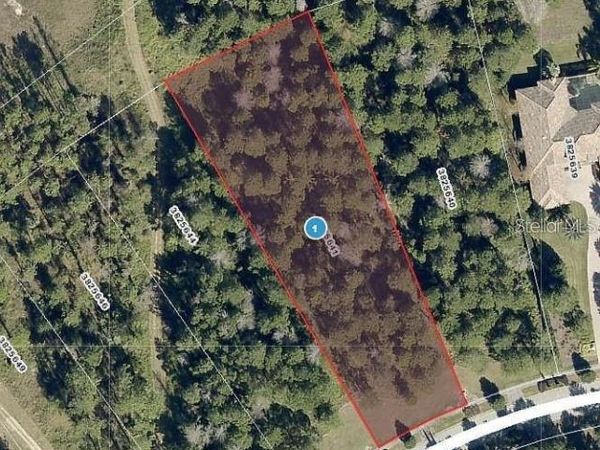 16036 PENDIO DRIVE , BELLA COLLINA, FL 34756