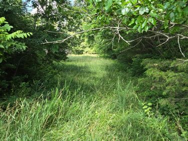 25 Leaning Oak Road, Corinth, KY 41010