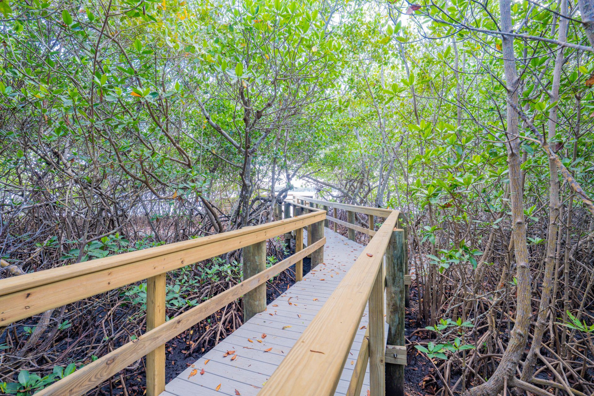 6163 SE Riverboat Drive, Unit 1018, Stuart, FL 34997 Photo