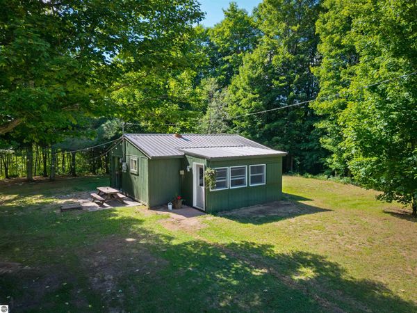 11903 Partridge Lane, Mancelona, MI 49659
