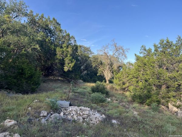 1615 Forest Lake, Spring Branch, TX 78070