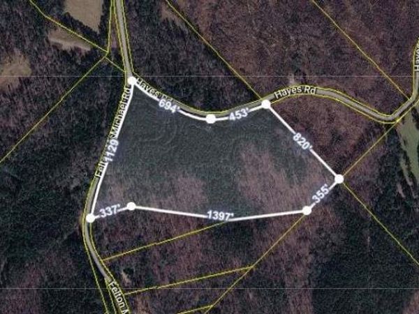 0 Felton Mcmichael Rd - Landlot 090-091 Road, Monticello, GA 31064