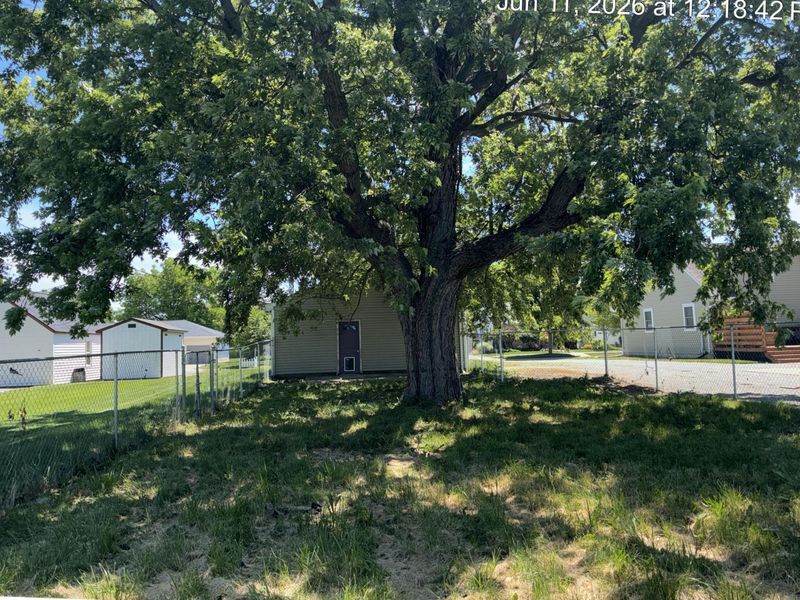 605 Buchanan Street, Wapakoneta, OH 45895 Photo 16