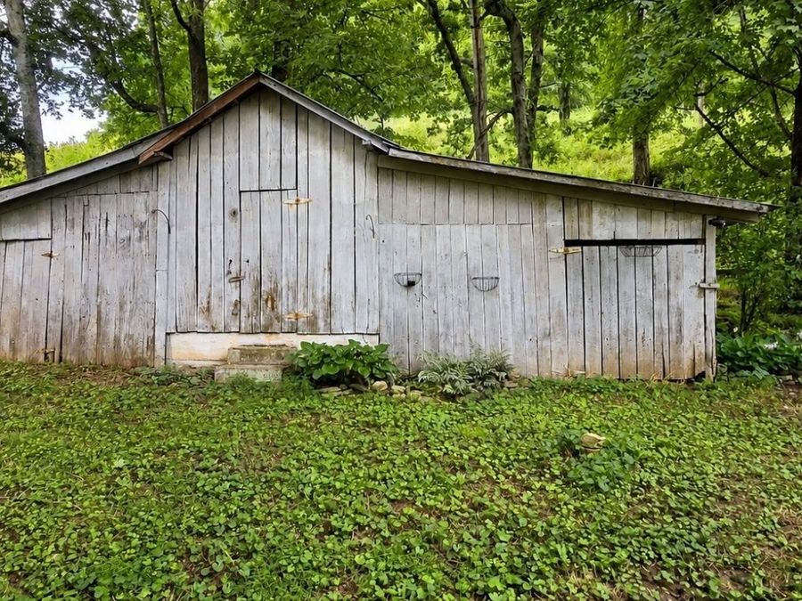 Property Image 19