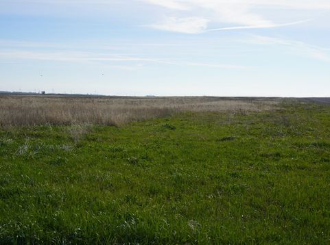 Main Photo