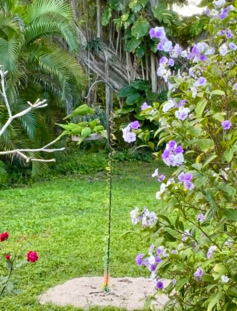 2834 Adams Street, Hollywood, FL 33020 Photo