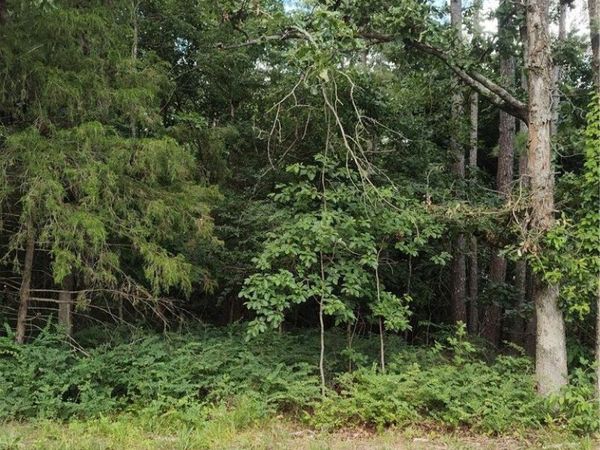 Forfar Drive , Bella Vista, AR 72715