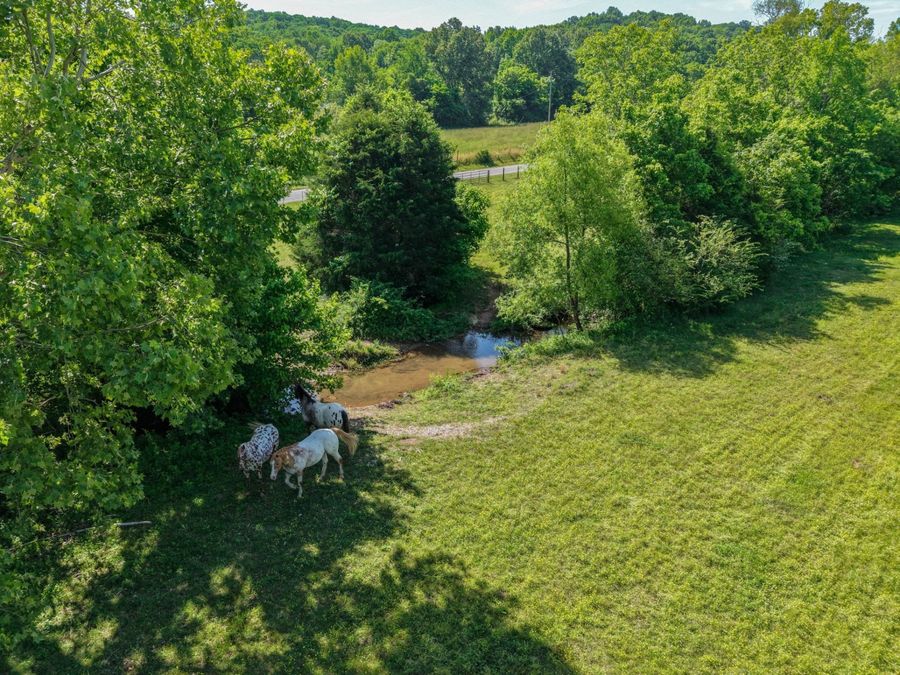 Property Image 66