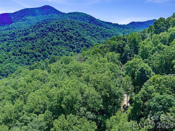 9999 Lovebird Lane , Candler, NC 28715
