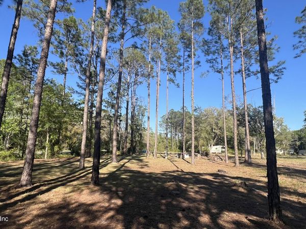 0 HELENA Street, Hastings, FL 32145