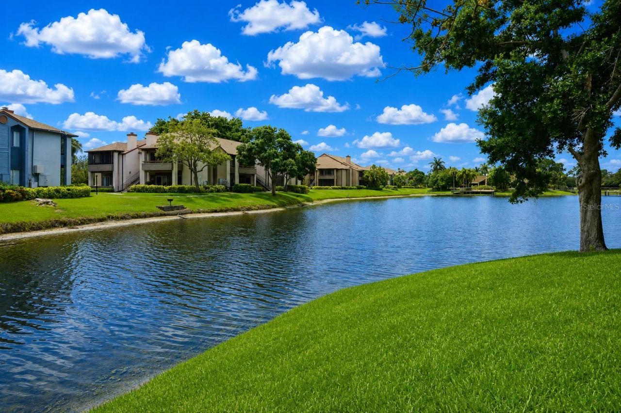 10263 Gandy Boulevard N, Unit 2116, Saint Petersburg, FL 33702 Photo