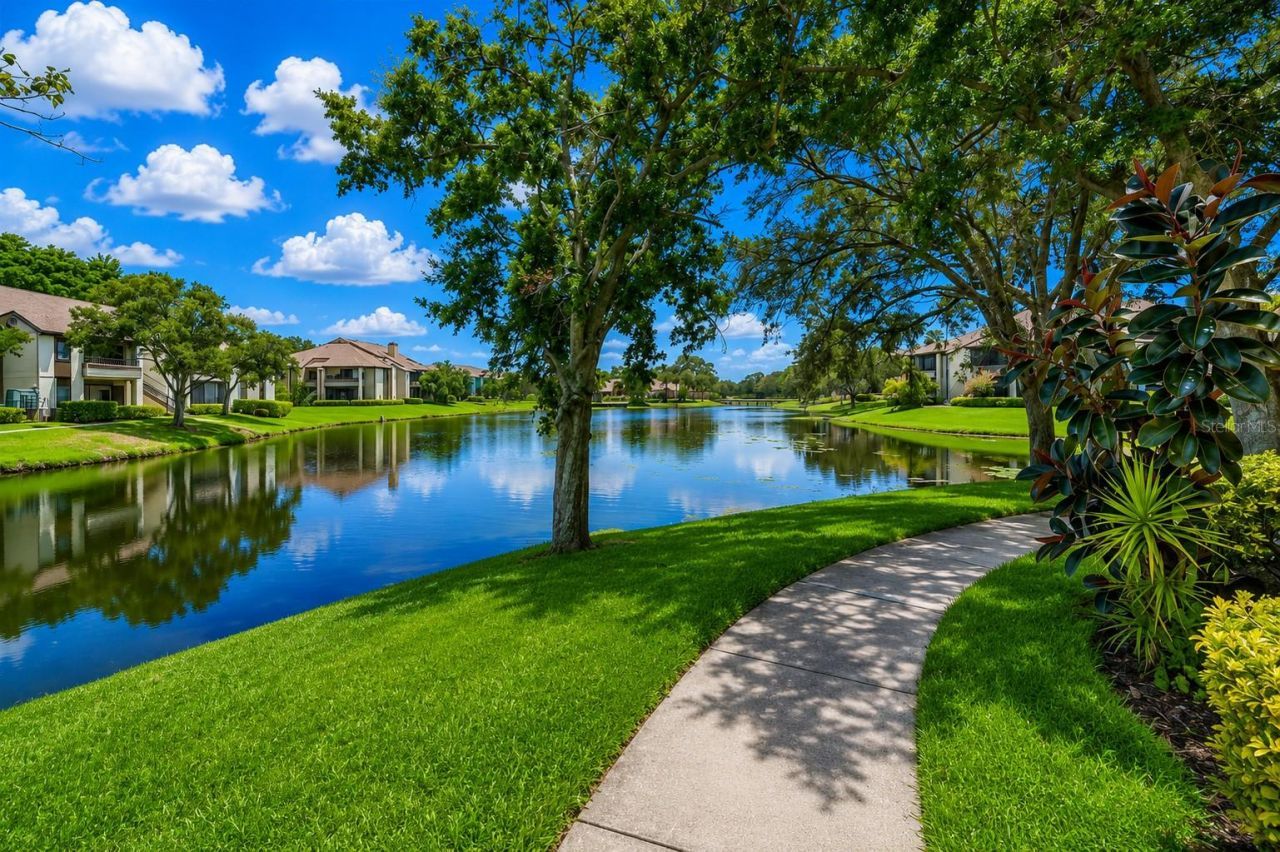 10263 Gandy Boulevard N, Unit 2116, Saint Petersburg, FL 33702 Photo