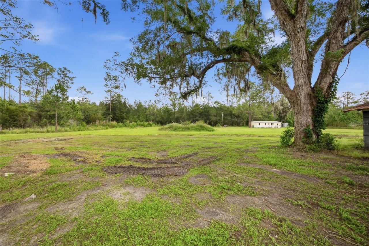 13216 NE 140th Street, Waldo, FL 32694 Photo