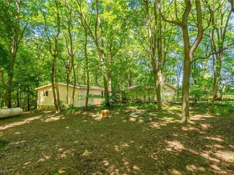 121 Skeleton Road NW, Dellroy, OH 44620 Photo 25