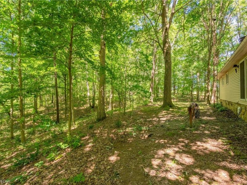 121 Skeleton Road NW, Dellroy, OH 44620 Photo 26