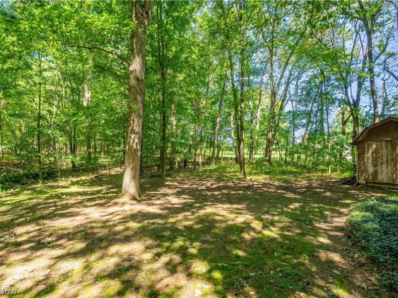 121 Skeleton Road NW, Dellroy, OH 44620 Photo 29