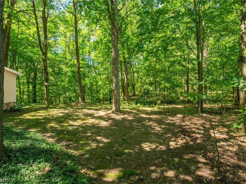 121 Skeleton Road NW, Dellroy, OH 44620 Photo 30