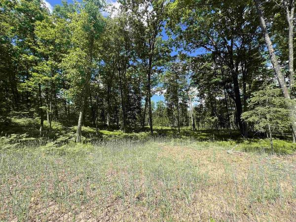 RHETT LANE, Wausaukee, WI 54177