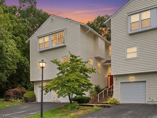 45 Rhea Run, Hampton, NJ 07860