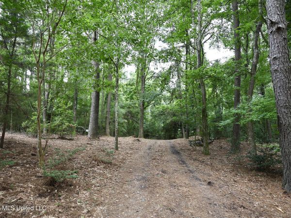 867 Cherryfield Road, Woodville, MS 39669