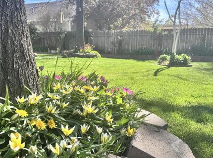 1492 Mary Jo Drive, Gardnerville, NV 89460 Photo