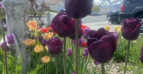 1492 Mary Jo Drive, Gardnerville, NV 89460 Photo