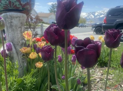 1492 Mary Jo Drive, Gardnerville, NV 89460 Photo