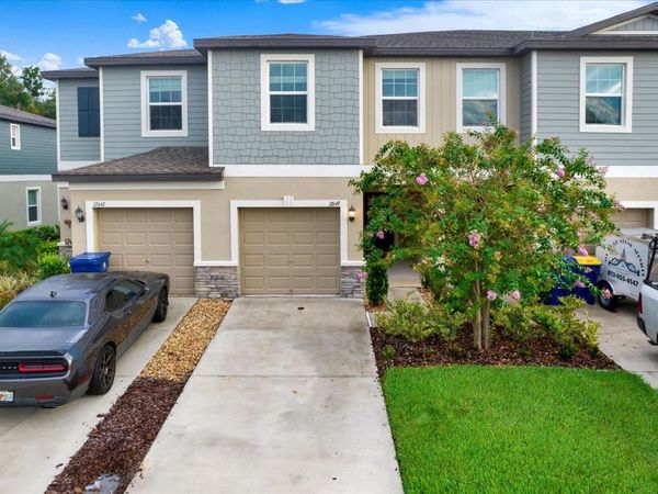 17649 NECTAR FLUME DRIVE, LAND O LAKES, FL 34638