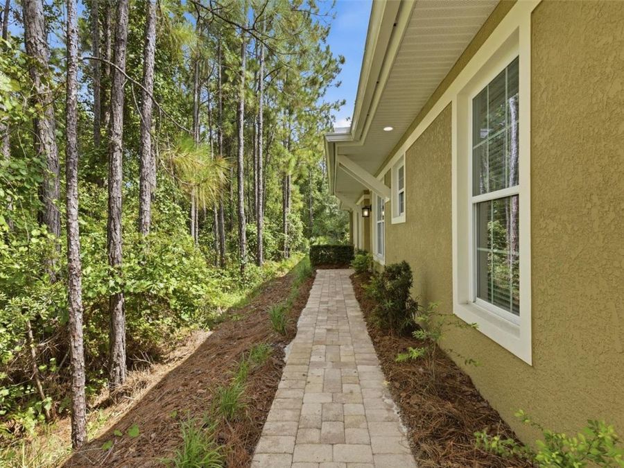 Property Image 81