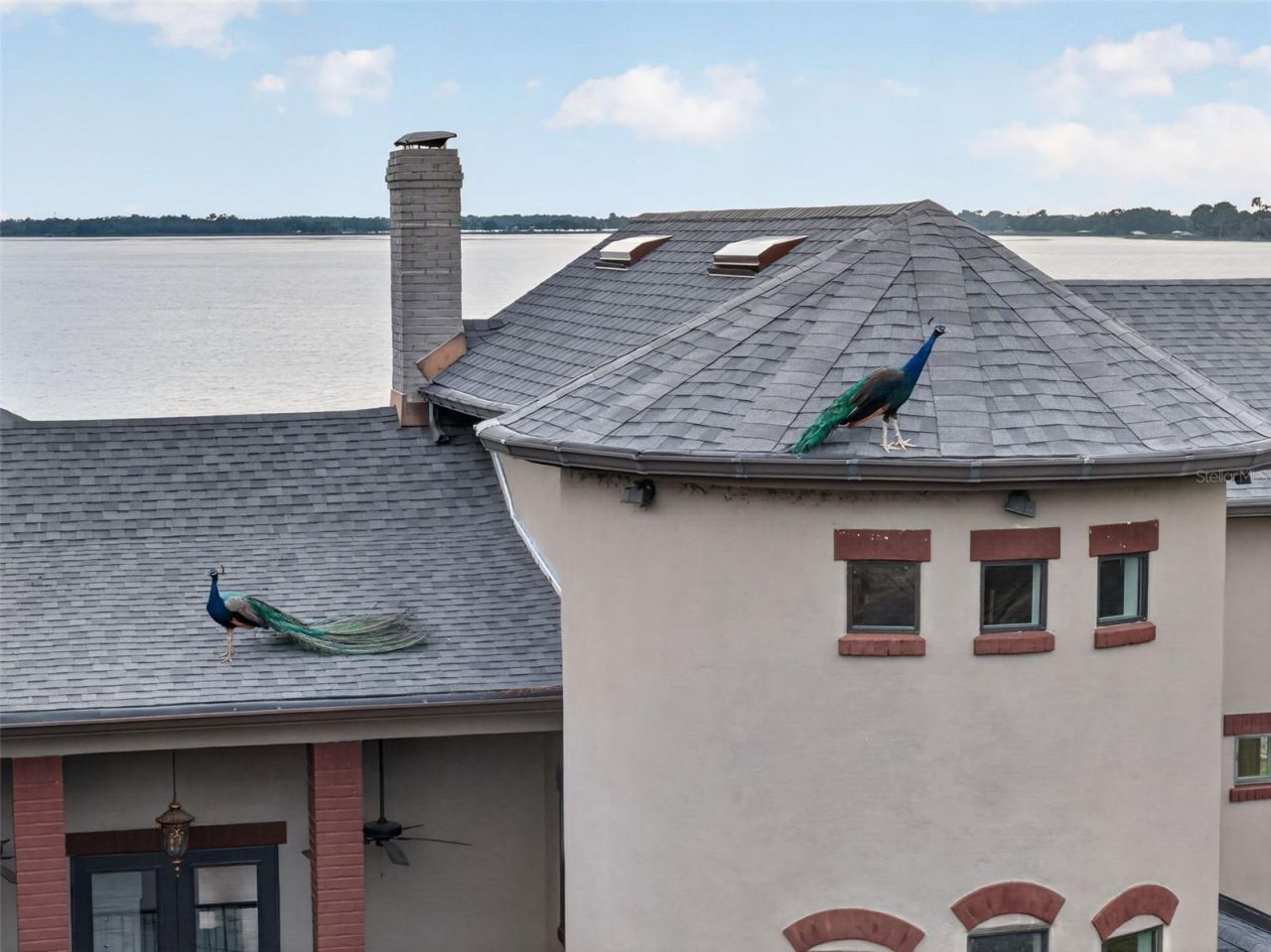 6118 Dora Dr, Mount Dora, FL 32757 Photo