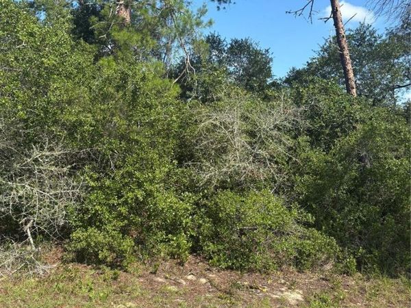 16698 SW 21ST CIRCLE , OCALA, FL 34473