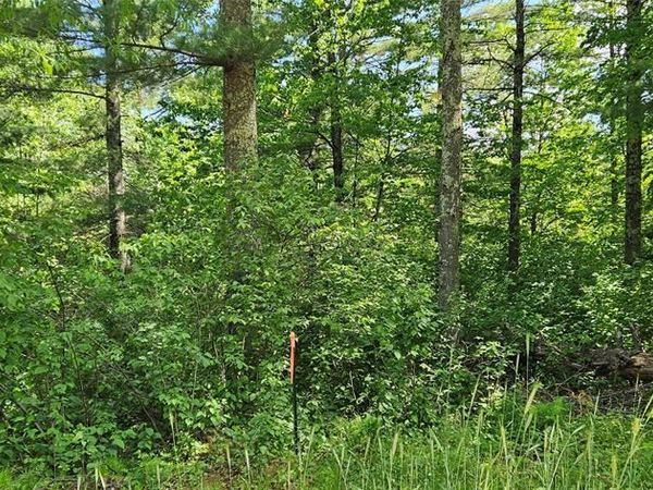 TBD Nordic Way, Cable, WI 54821