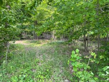 Harp Rd Road , Canastota, NY 13032
