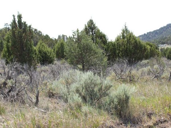 Unit 21 B, Fairview, UT 84629