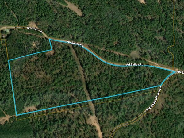 0 Arl Bailey Road , Finger, TN 38334