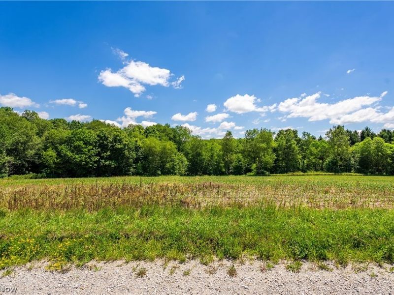 8008 Reef Road NE, Mechanicstown, OH 44651 Photo 1